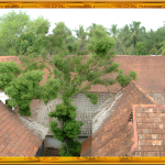 Padmanabha Puram Palace